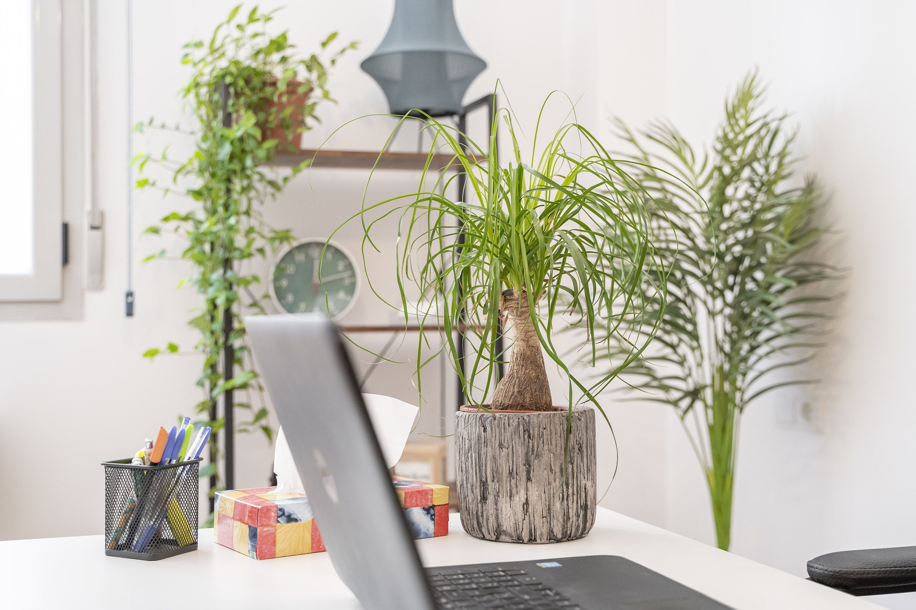 Psicóloga en Teruel - Estrella Doñate